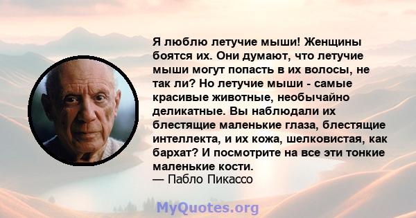 Я люблю летучие мыши! Женщины боятся их. Они думают, что летучие мыши могут попасть в их волосы, не так ли? Но летучие мыши - самые красивые животные, необычайно деликатные. Вы наблюдали их блестящие маленькие глаза,