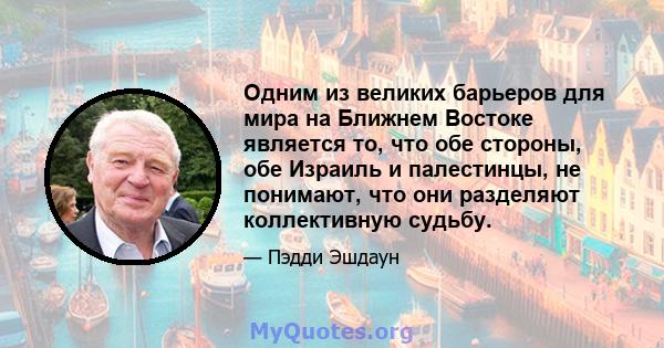 Одним из великих барьеров для мира на Ближнем Востоке является то, что обе стороны, обе Израиль и палестинцы, не понимают, что они разделяют коллективную судьбу.