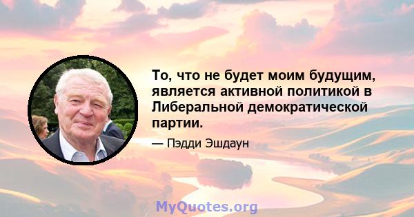 То, что не будет моим будущим, является активной политикой в ​​Либеральной демократической партии.