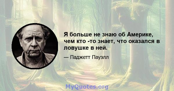 Я больше не знаю об Америке, чем кто -то знает, что оказался в ловушке в ней.