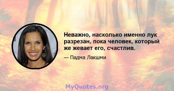 Неважно, насколько именно лук разрезан, пока человек, который же жевает его, счастлив.