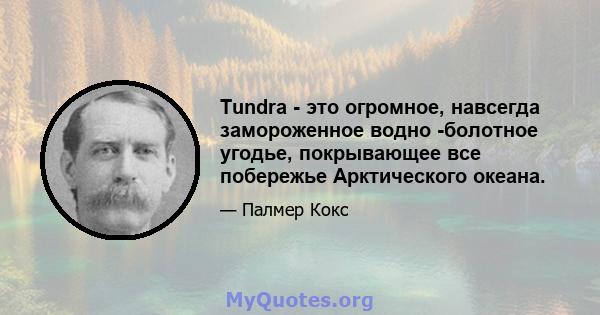 Tundra - это огромное, навсегда замороженное водно -болотное угодье, покрывающее все побережье Арктического океана.