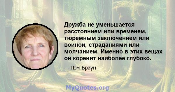 Дружба не уменьшается расстоянием или временем, тюремным заключением или войной, страданиями или молчанием. Именно в этих вещах он коренит наиболее глубоко.