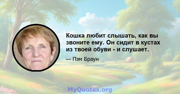 Кошка любит слышать, как вы звоните ему. Он сидит в кустах из твоей обуви - и слушает.