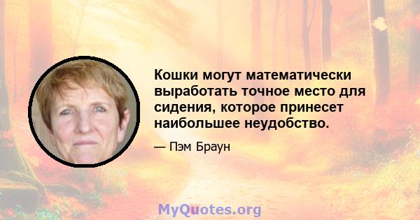 Кошки могут математически выработать точное место для сидения, которое принесет наибольшее неудобство.