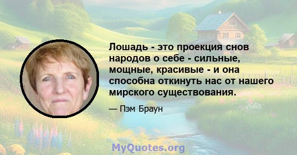 Лошадь - это проекция снов народов о себе - сильные, мощные, красивые - и она способна откинуть нас от нашего мирского существования.