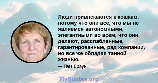 Люди привлекаются к кошкам, потому что они все, что мы не являемся автономными, элегантными во всем, что они делают, расслабленные, гарантированные, рад компании, но все же обладая тайной жизнью.