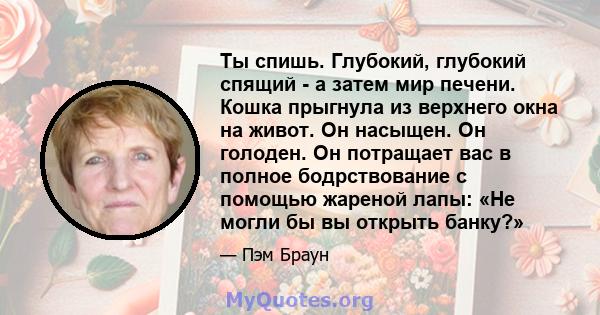 Ты спишь. Глубокий, глубокий спящий - а затем мир печени. Кошка прыгнула из верхнего окна на живот. Он насыщен. Он голоден. Он потращает вас в полное бодрствование с помощью жареной лапы: «Не могли бы вы открыть банку?»