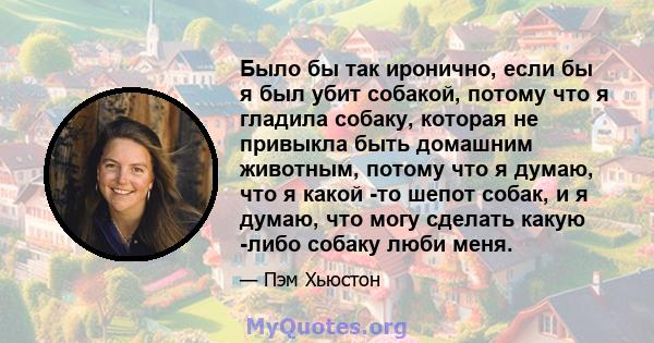 Было бы так иронично, если бы я был убит собакой, потому что я гладила собаку, которая не привыкла быть домашним животным, потому что я думаю, что я какой -то шепот собак, и я думаю, что могу сделать какую -либо собаку