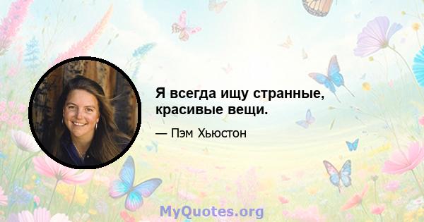 Я всегда ищу странные, красивые вещи.