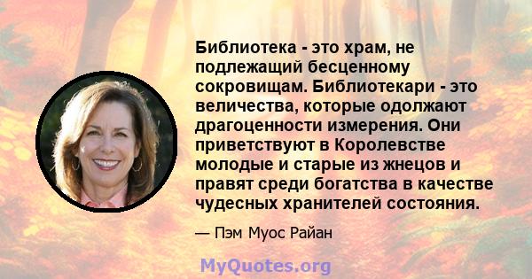 Библиотека - это храм, не подлежащий бесценному сокровищам. Библиотекари - это величества, которые одолжают драгоценности измерения. Они приветствуют в Королевстве молодые и старые из жнецов и правят среди богатства в