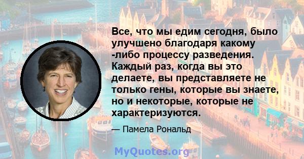 Все, что мы едим сегодня, было улучшено благодаря какому -либо процессу разведения. Каждый раз, когда вы это делаете, вы представляете не только гены, которые вы знаете, но и некоторые, которые не характеризуются.