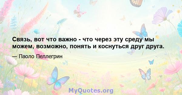 Связь, вот что важно - что через эту среду мы можем, возможно, понять и коснуться друг друга.