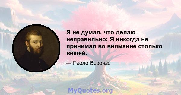 Я не думал, что делаю неправильно; Я никогда не принимал во внимание столько вещей.