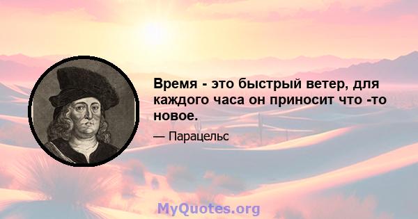 Время - это быстрый ветер, для каждого часа он приносит что -то новое.