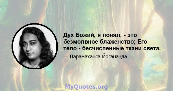 Дух Божий, я понял, - это безмолвное блаженство; Его тело - бесчисленные ткани света.