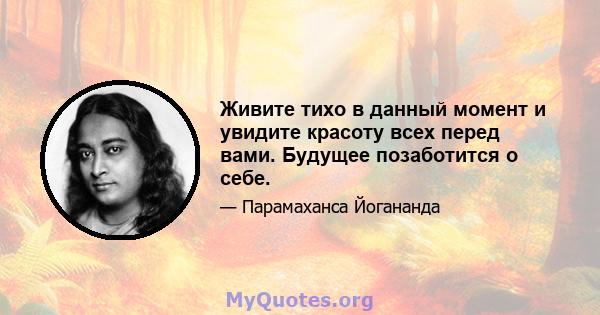 Живите тихо в данный момент и увидите красоту всех перед вами. Будущее позаботится о себе.