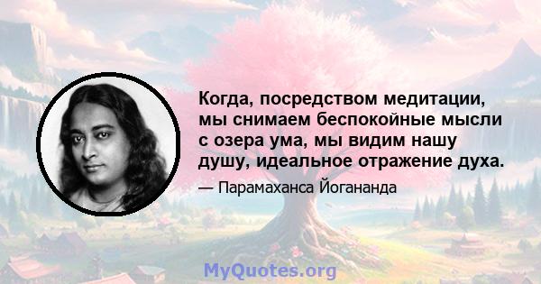 Когда, посредством медитации, мы снимаем беспокойные мысли с озера ума, мы видим нашу душу, идеальное отражение духа.