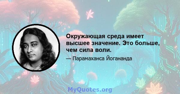 Окружающая среда имеет высшее значение. Это больше, чем сила воли.