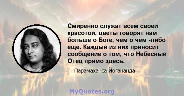 Смиренно служат всем своей красотой, цветы говорят нам больше о Боге, чем о чем -либо еще. Каждый из них приносит сообщение о том, что Небесный Отец прямо здесь.