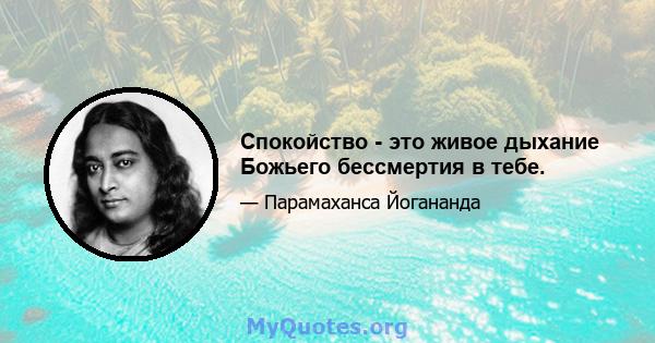 Спокойство - это живое дыхание Божьего бессмертия в тебе.