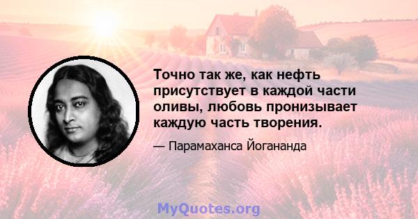 Точно так же, как нефть присутствует в каждой части оливы, любовь пронизывает каждую часть творения.