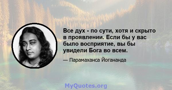 Все дух - по сути, хотя и скрыто в проявлении. Если бы у вас было восприятие, вы бы увидели Бога во всем.