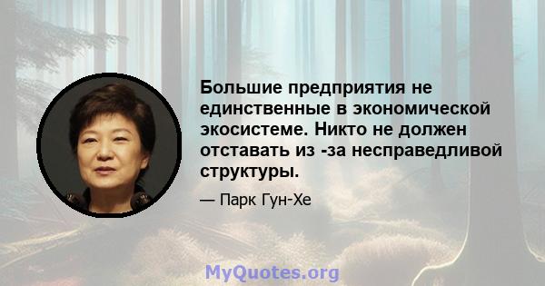 Большие предприятия не единственные в экономической экосистеме. Никто не должен отставать из -за несправедливой структуры.