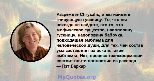 Разрежьте Chrysalis, и вы найдете гнирующую гусеницу. То, что вы никогда не найдете, это то, что мифическое существо, наполовину гусеницу, наполовину бабочка, подходящая эмблема для человеческой души, для тех, чей