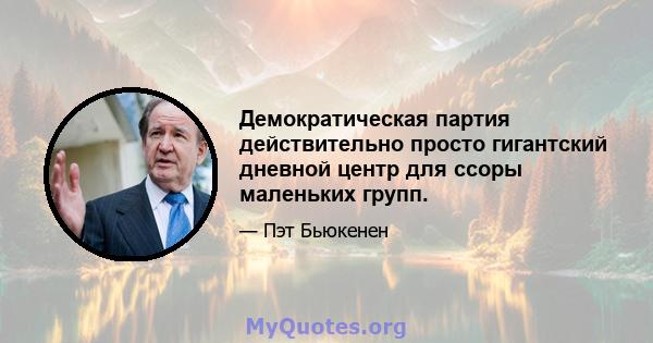 Демократическая партия действительно просто гигантский дневной центр для ссоры маленьких групп.