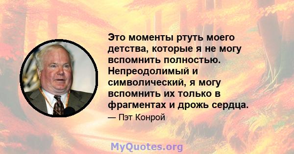 Это моменты ртуть моего детства, которые я не могу вспомнить полностью. Непреодолимый и символический, я могу вспомнить их только в фрагментах и ​​дрожь сердца.