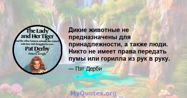 Дикие животные не предназначены для принадлежности, а также люди. Никто не имеет права передать пумы или горилла из рук в руку.