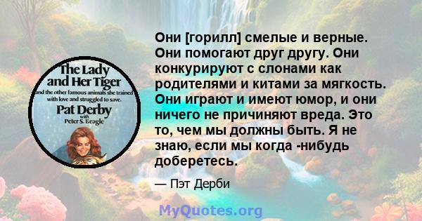 Они [горилл] смелые и верные. Они помогают друг другу. Они конкурируют с слонами как родителями и китами за мягкость. Они играют и имеют юмор, и они ничего не причиняют вреда. Это то, чем мы должны быть. Я не знаю, если 