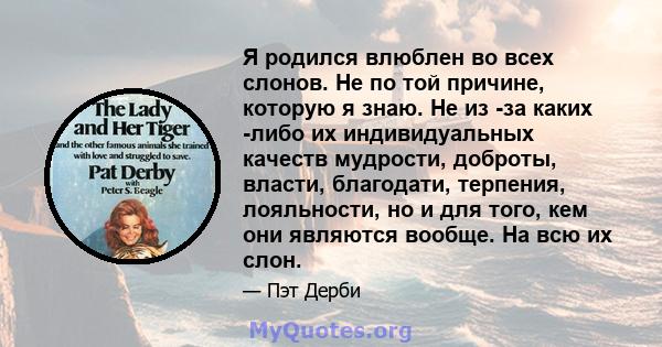 Я родился влюблен во всех слонов. Не по той причине, которую я знаю. Не из -за каких -либо их индивидуальных качеств мудрости, доброты, власти, благодати, терпения, лояльности, но и для того, кем они являются вообще. На 