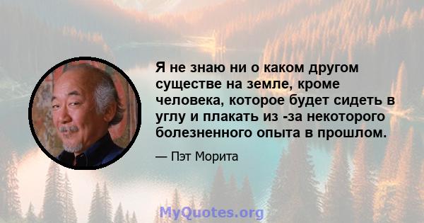 Я не знаю ни о каком другом существе на земле, кроме человека, которое будет сидеть в углу и плакать из -за некоторого болезненного опыта в прошлом.