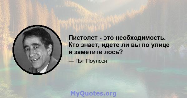 Пистолет - это необходимость. Кто знает, идете ли вы по улице и заметите лось?