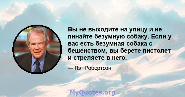 Вы не выходите на улицу и не пинайте безумную собаку. Если у вас есть безумная собака с бешенством, вы берете пистолет и стреляете в него.