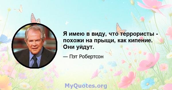 Я имею в виду, что террористы - похожи на прыщи, как кипение. Они уйдут.