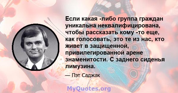 Если какая -либо группа граждан уникальна неквалифицирована, чтобы рассказать кому -то еще, как голосовать, это те из нас, кто живет в защищенной, привилегированной арене знаменитости. С заднего сиденья лимузина.