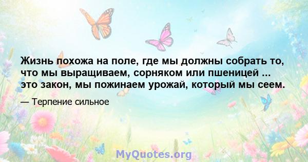 Жизнь похожа на поле, где мы должны собрать то, что мы выращиваем, сорняком или пшеницей ... это закон, мы пожинаем урожай, который мы сеем.