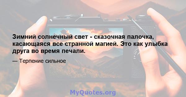 Зимний солнечный свет - сказочная палочка, касающаяся все странной магией. Это как улыбка друга во время печали.