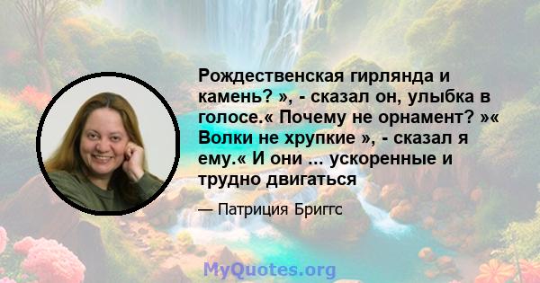 Рождественская гирлянда и камень? », - сказал он, улыбка в голосе.« Почему не орнамент? »« Волки не хрупкие », - сказал я ему.« И они ... ускоренные и трудно двигаться