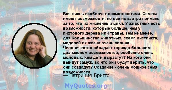 Вся жизнь изобилует возможностями. Семена имеют возможности, но все их завтра пойманы за то, что их жизненный цикл. У животных есть возможности, которые больше, чем у пихтового дерева или травы. Тем не менее, для