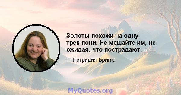 Золоты похожи на одну трек-пони. Не мешайте им, не ожидая, что пострадают.