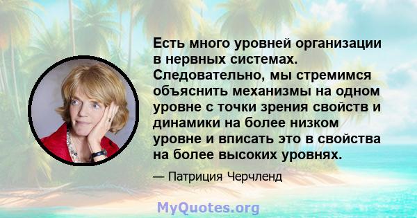 Есть много уровней организации в нервных системах. Следовательно, мы стремимся объяснить механизмы на одном уровне с точки зрения свойств и динамики на более низком уровне и вписать это в свойства на более высоких