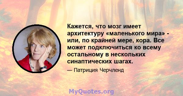 Кажется, что мозг имеет архитектуру «маленького мира» - или, по крайней мере, кора. Все может подключиться ко всему остальному в нескольких синаптических шагах.