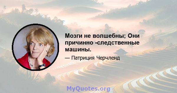 Мозги не волшебны; Они причинно -следственные машины.