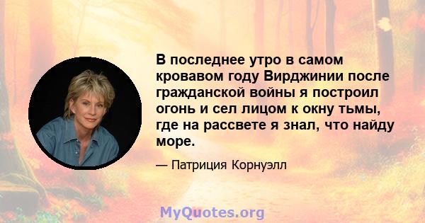 В последнее утро в самом кровавом году Вирджинии после гражданской войны я построил огонь и сел лицом к окну тьмы, где на рассвете я знал, что найду море.