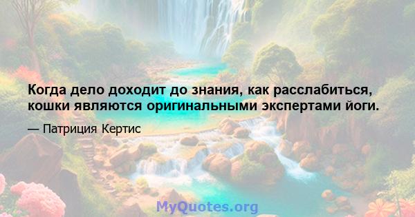 Когда дело доходит до знания, как расслабиться, кошки являются оригинальными экспертами йоги.