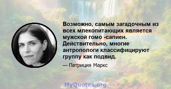 Возможно, самым загадочным из всех млекопитающих является мужской гомо -сапиен. Действительно, многие антропологи классифицируют группу как подвид.